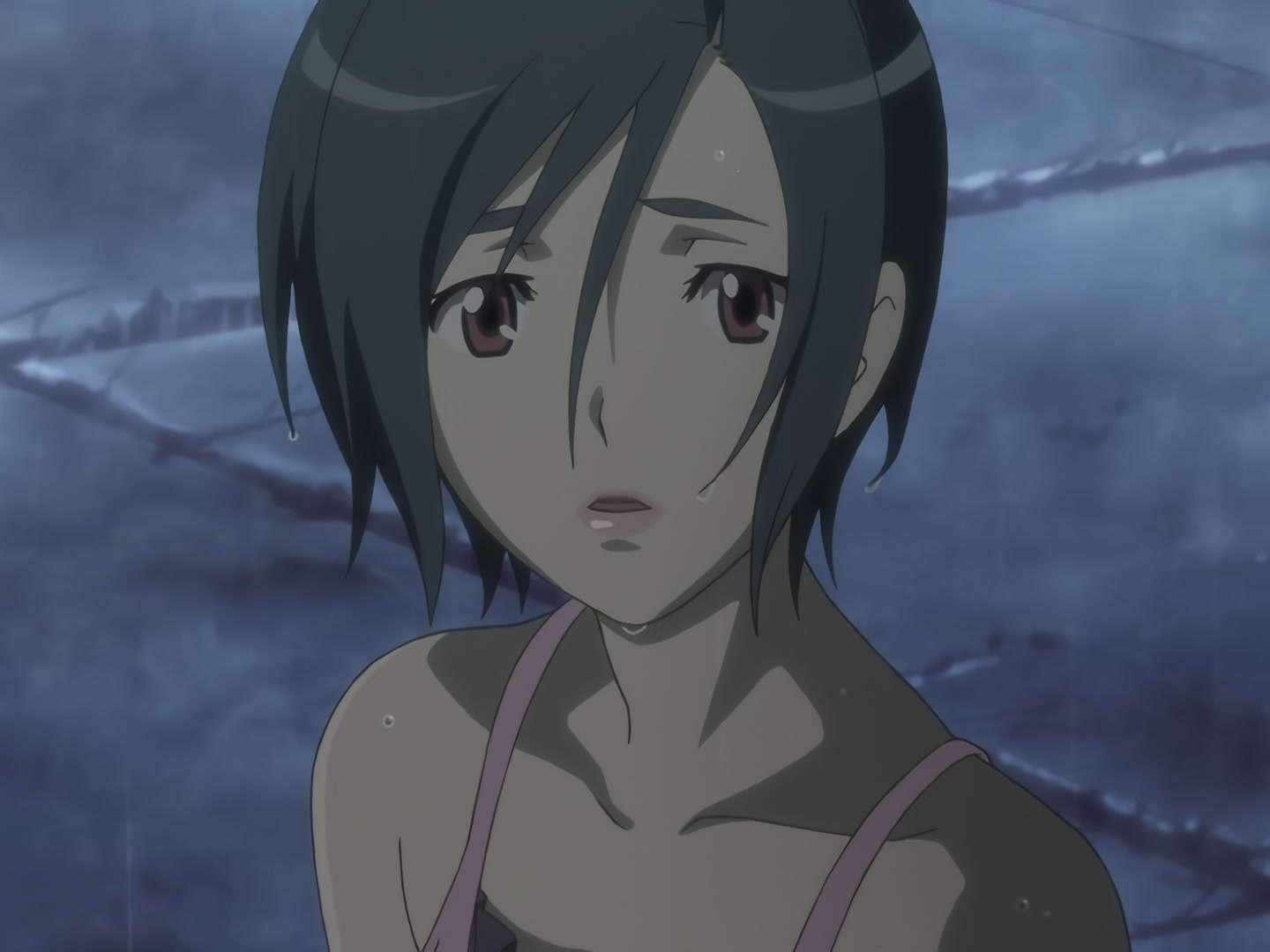 Blood+ Ep 50: Nankurunaisa @ 06:15